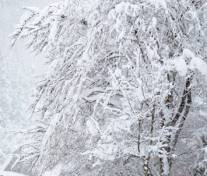 年末年始の休業日について